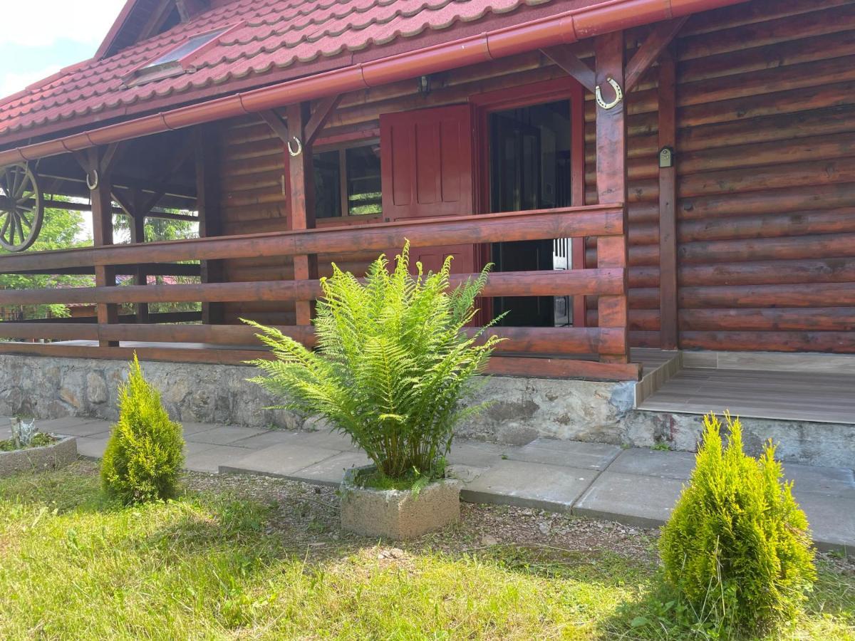 Cabana Transilvania Beliş Exterior foto