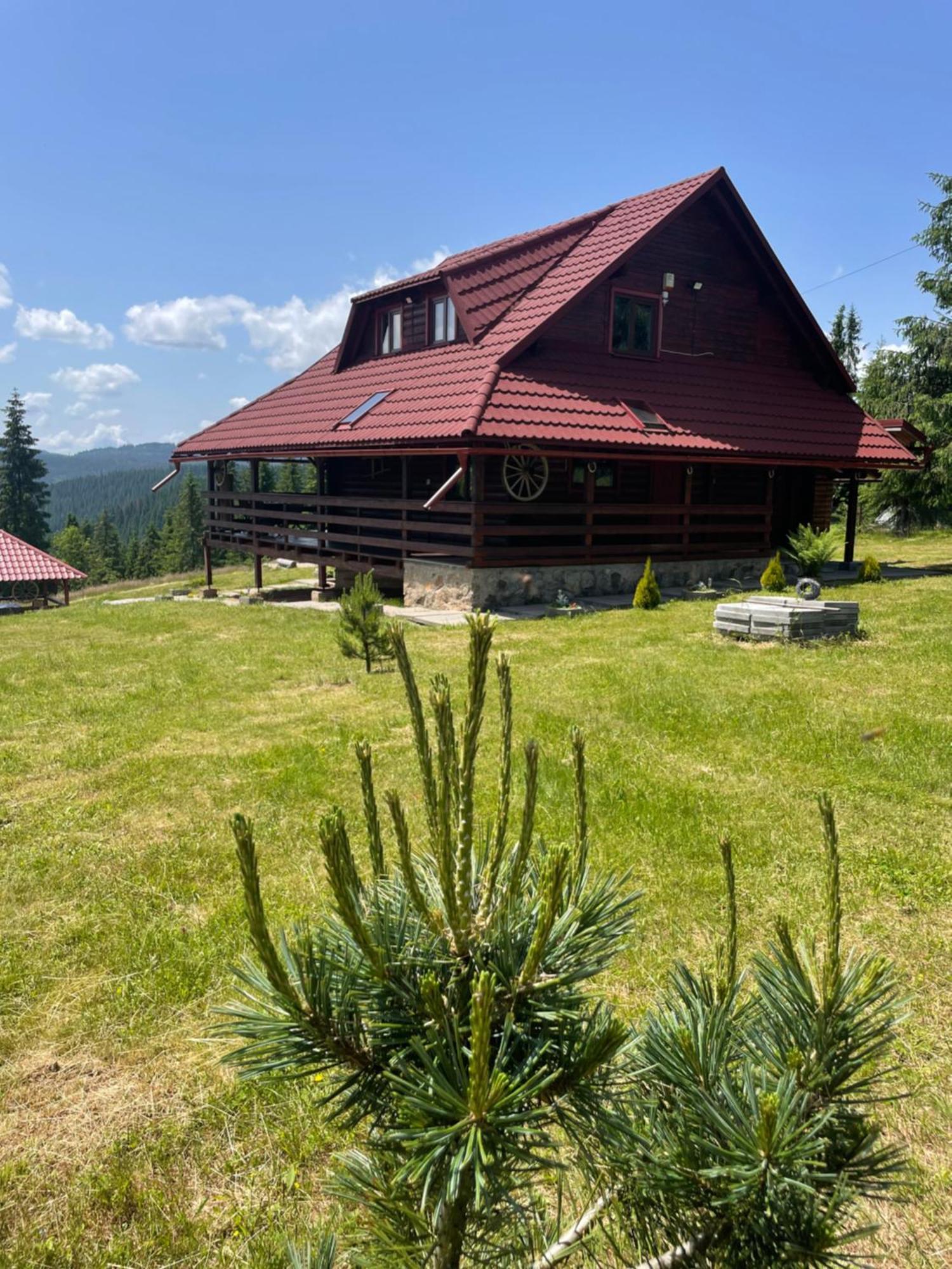Cabana Transilvania Beliş Exterior foto